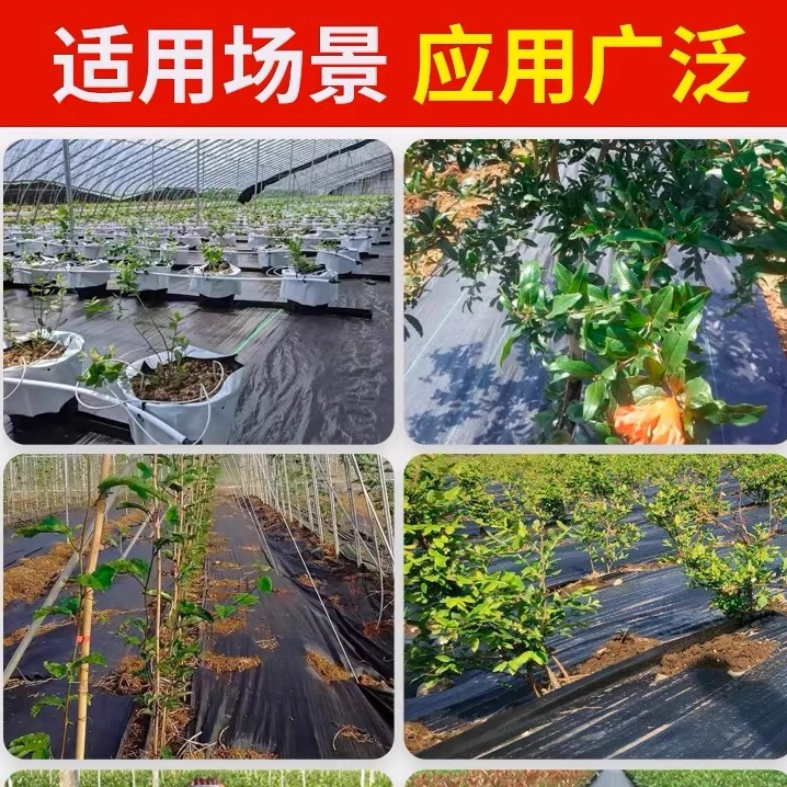 地膜除草布：果园果树专用，打造无杂草乐园的秘密武器！
