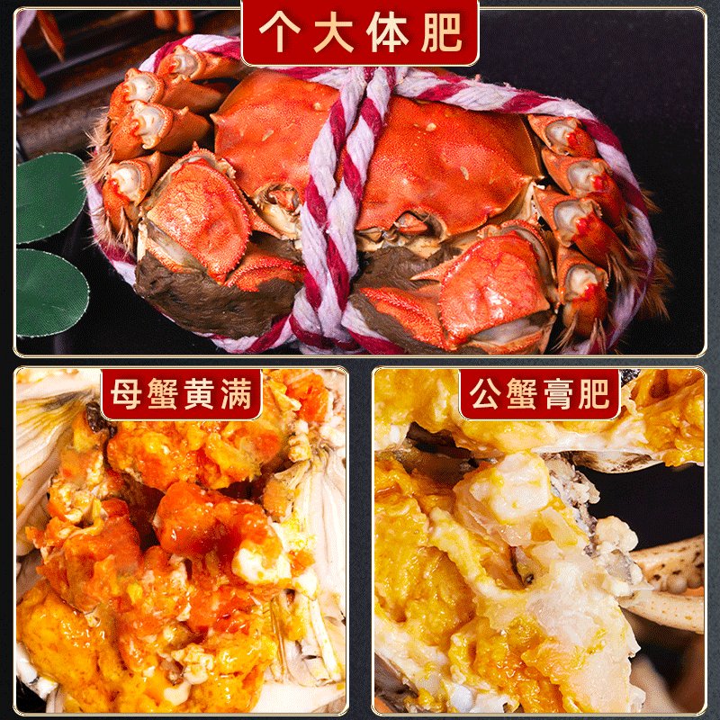活蟹大揭秘：阳澄湖镇红膏大闸蟹，公母之争谁更胜一筹？