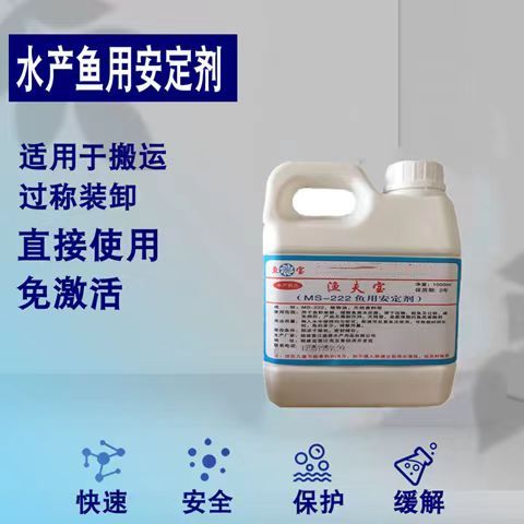 活水焖活鱼真的香！这道菜太上头了！吃过的都说绝！