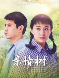 亲情树