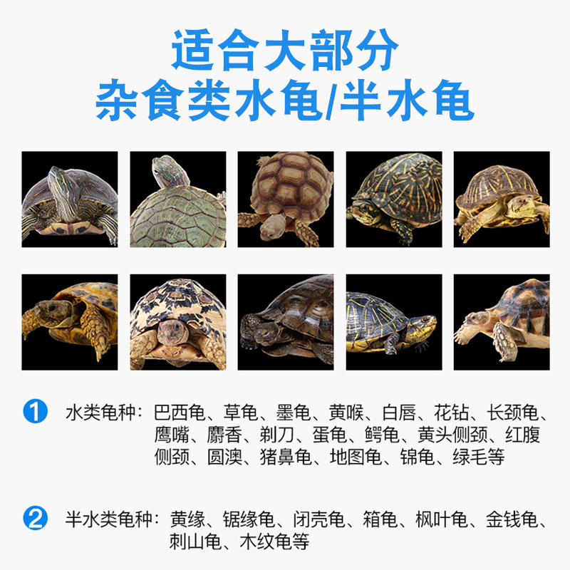 正版书《魔鬼约会学》阮琦：恋爱攻略，轻松拿下男神女神