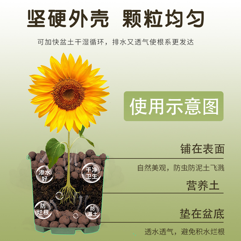 铺面火山石&amp;彩色陶土粒：多肉植物盆栽的秘密武器，透气养花新潮流！