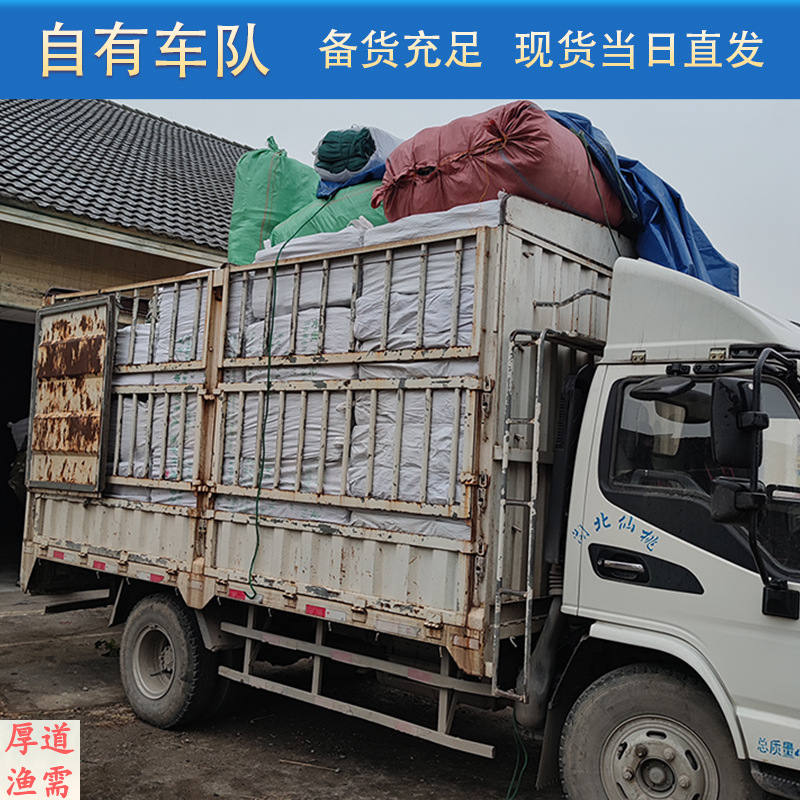 渔网大揭秘：捕鱼高手必备神器，让你轻松捕获满满一网！