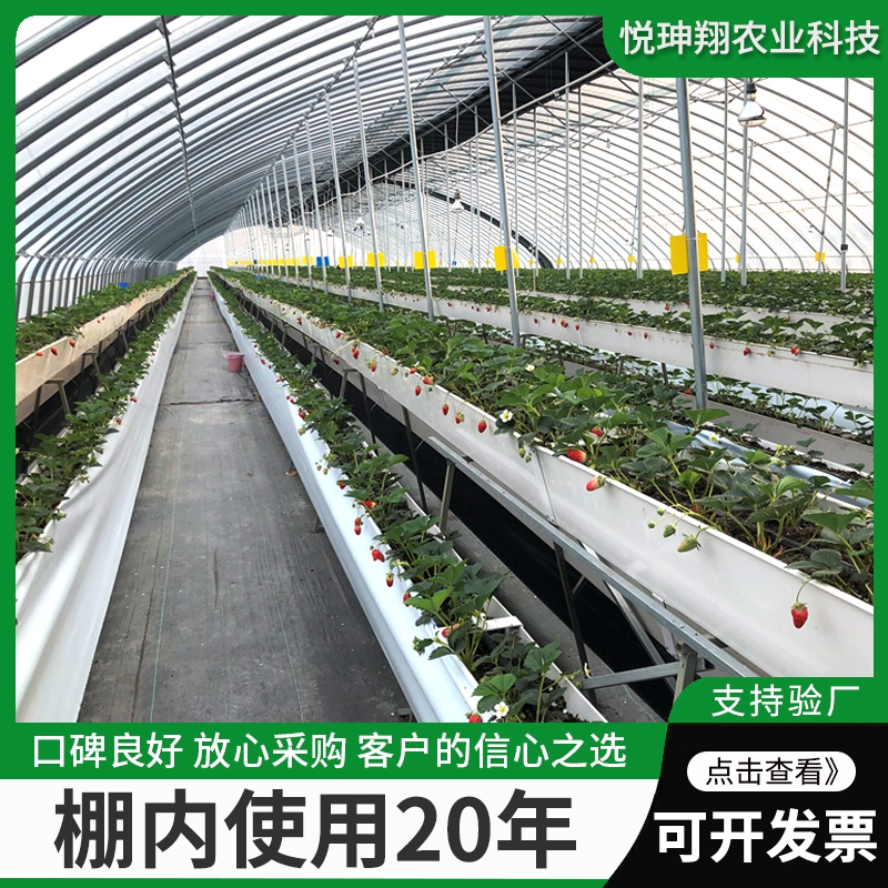 玻璃温室种植槽支架：草莓无土栽培的秘密武器✨