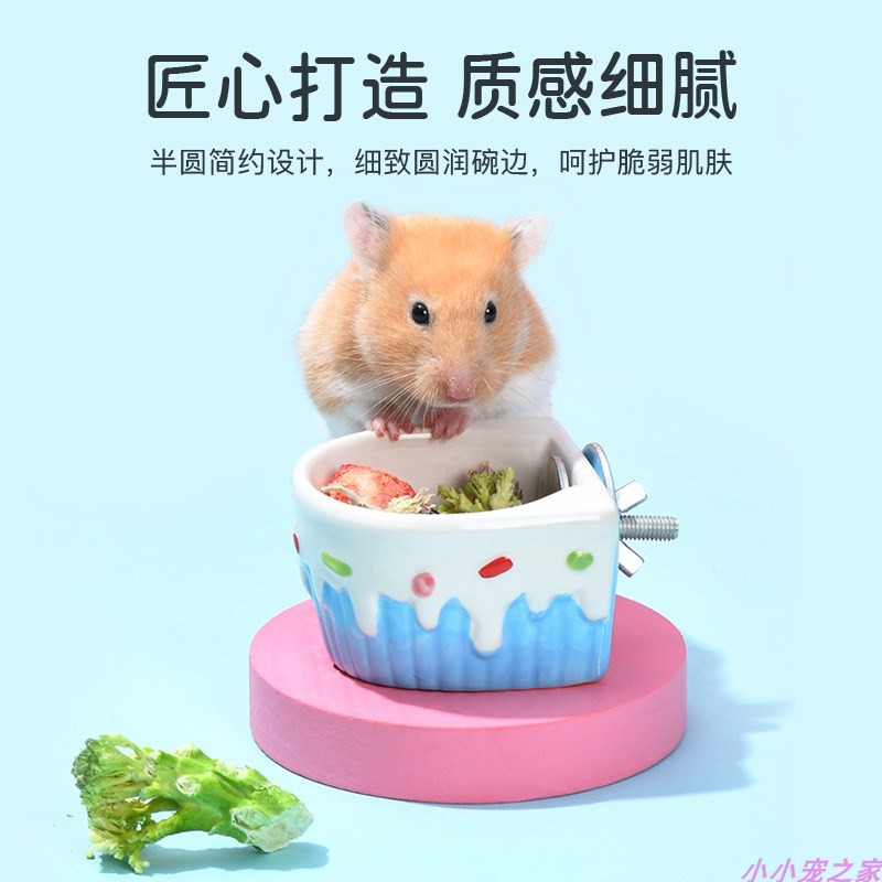 仓鼠用品食盆大揭秘：陶瓷刺猬碗防翻喂食器，蜜袋鼯松鼠饭碗新选择！