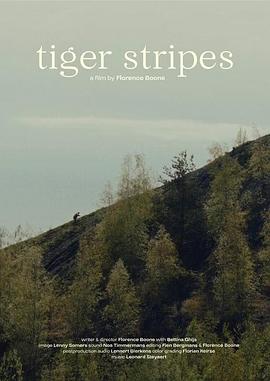 Tijgerstrepen