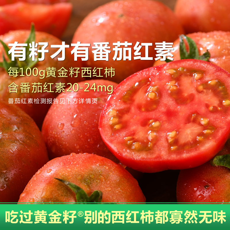 5斤新鲜黄金籽西红柿：孕妇专属，自然熟透的甜蜜诱惑！