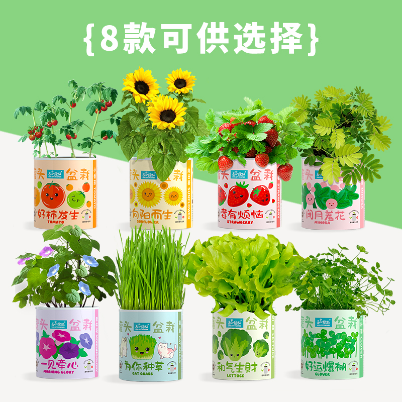 山乌龟绿植桌面花架：打造你的迷你花园，让绿意盎然！✨
