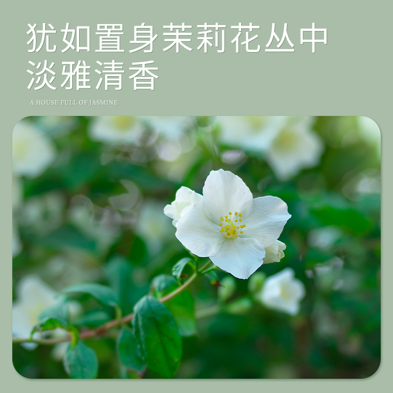 北汽家族庞大阵容揭秘：从紧凑型轿车到SUV，全系车型一览