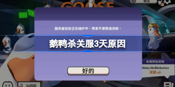 鹅鸭杀关服3天怎么回事 鹅鸭杀关服3天原因