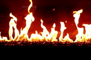 Fireplace Screensaver1.2