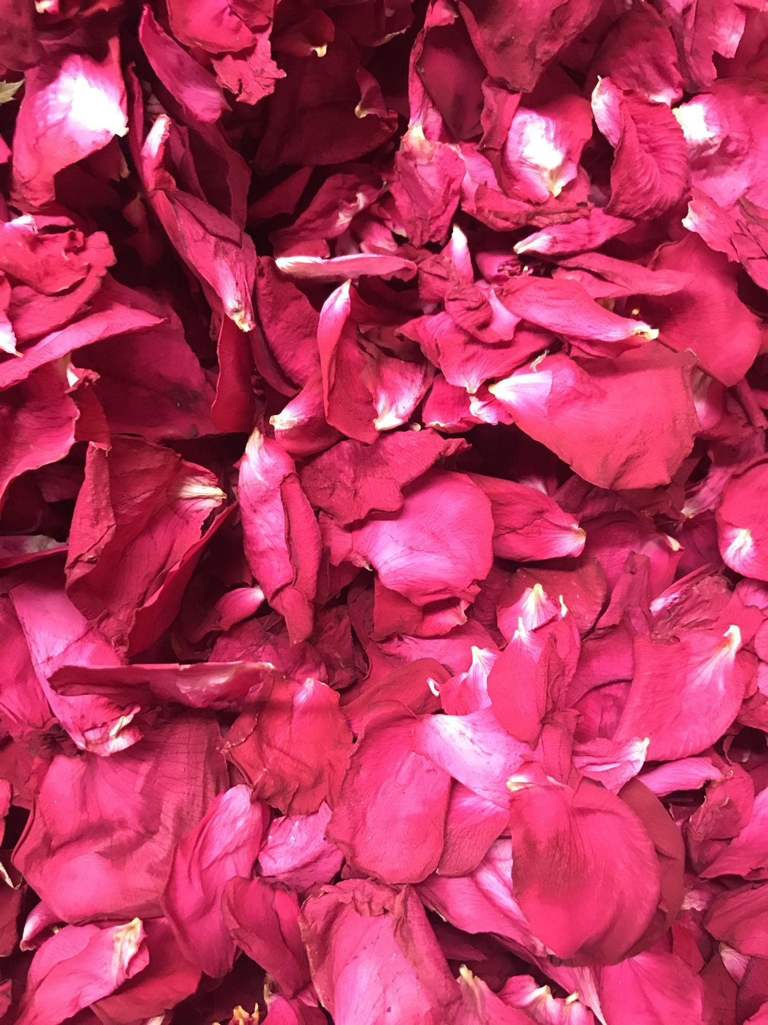 25年新花高原玫瑰：1000g干花瓣包邮，让你的泡澡体验升级！