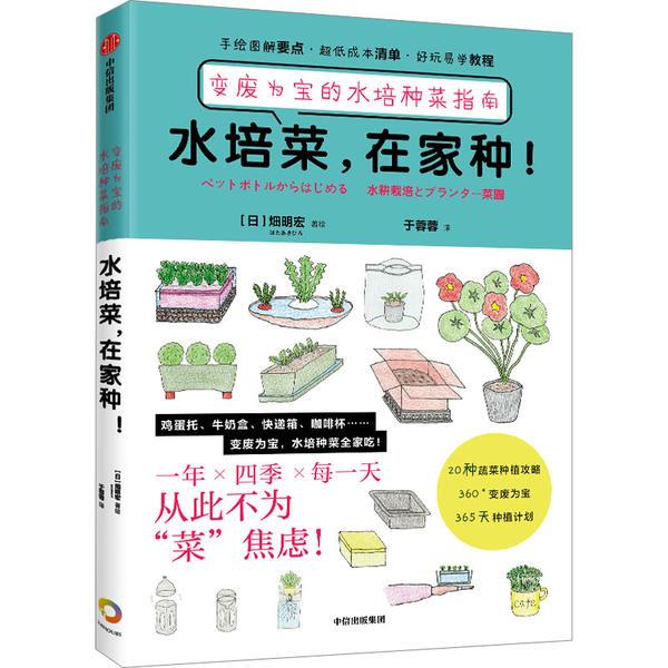 水培菜 在家种！变废为宝的水培种菜指南