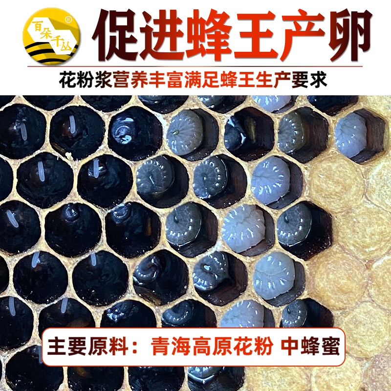 花粉浆发酵蜂粮，蜜蜂的超级食物，养蜂人的必备神器！