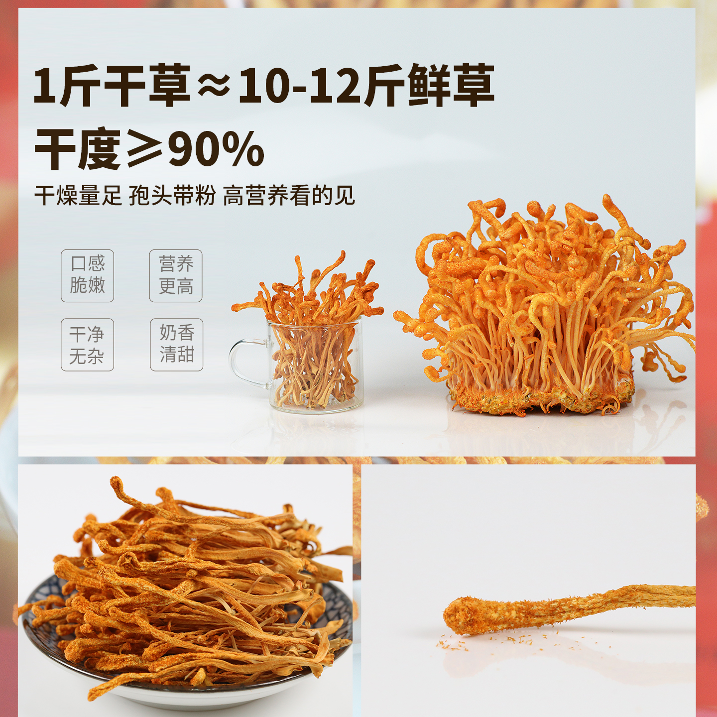 山海堂有机蛹虫草花：自然界的养生宝，一口鲜嫩唤醒味蕾!