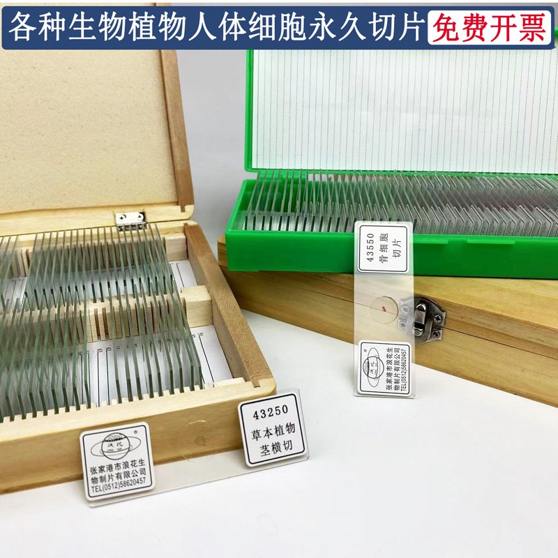 新概念健发神器：LLLT三光养发生仪器，告别脱发烦恼，迎接新生发苗✨