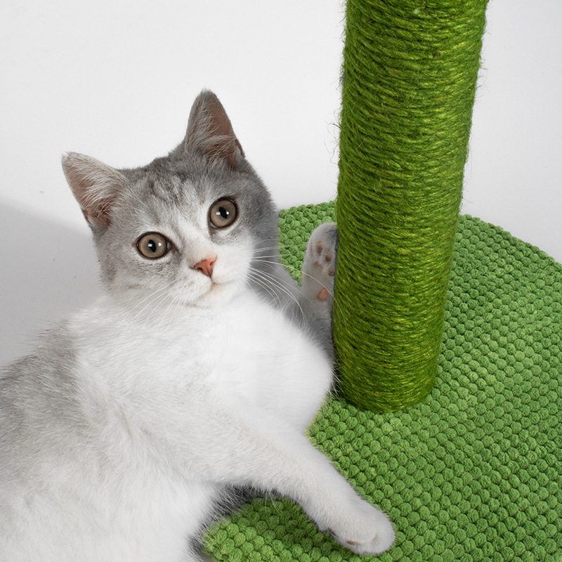 uah哈仙人掌猫爬架：给猫咪的豪华度假村