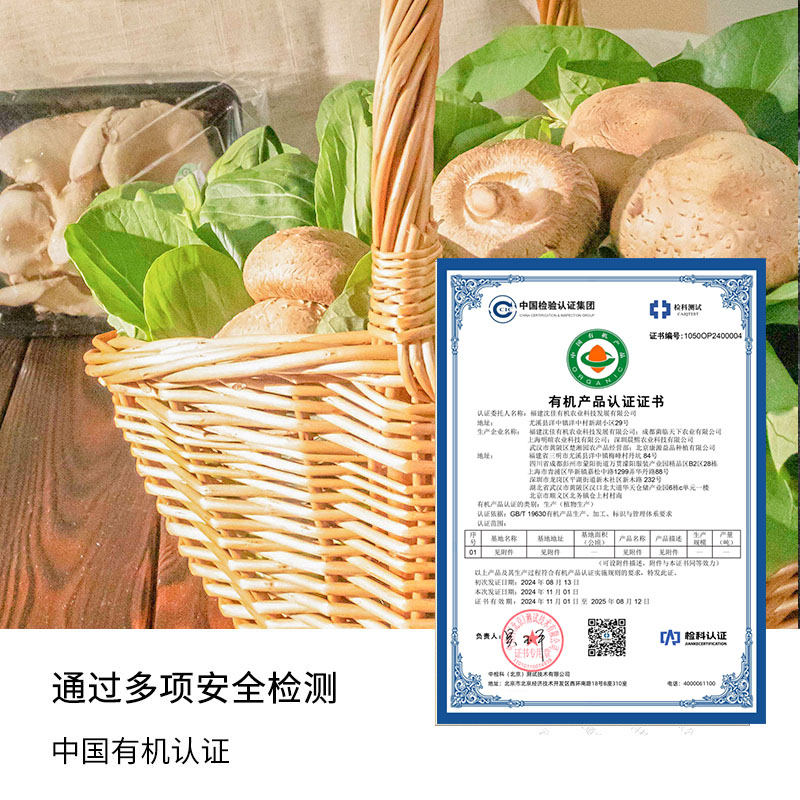 沈佳农有机蔬菜辅食榨汁包月卡！宝宝营养全靠它，妈妈省心到尖叫