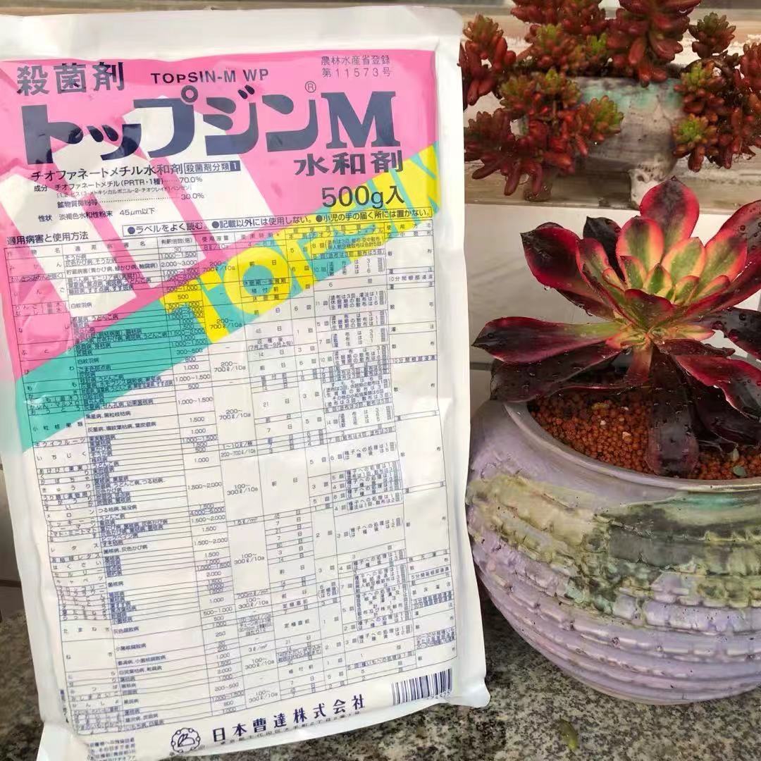 日曹甲基托布津：植物守护神，告别病害困扰！️
