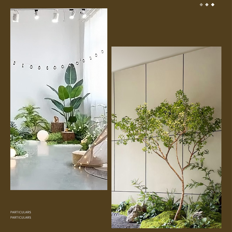 植物补光灯5050透镜30度光学透镜：点亮你的绿植梦想✨