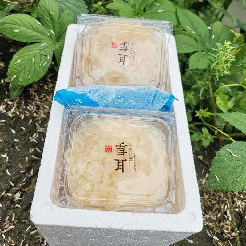 古田高山鲜银耳700g软糯多胶！煮出一碗神仙莲子羹，吃出健康美颜秘诀✨