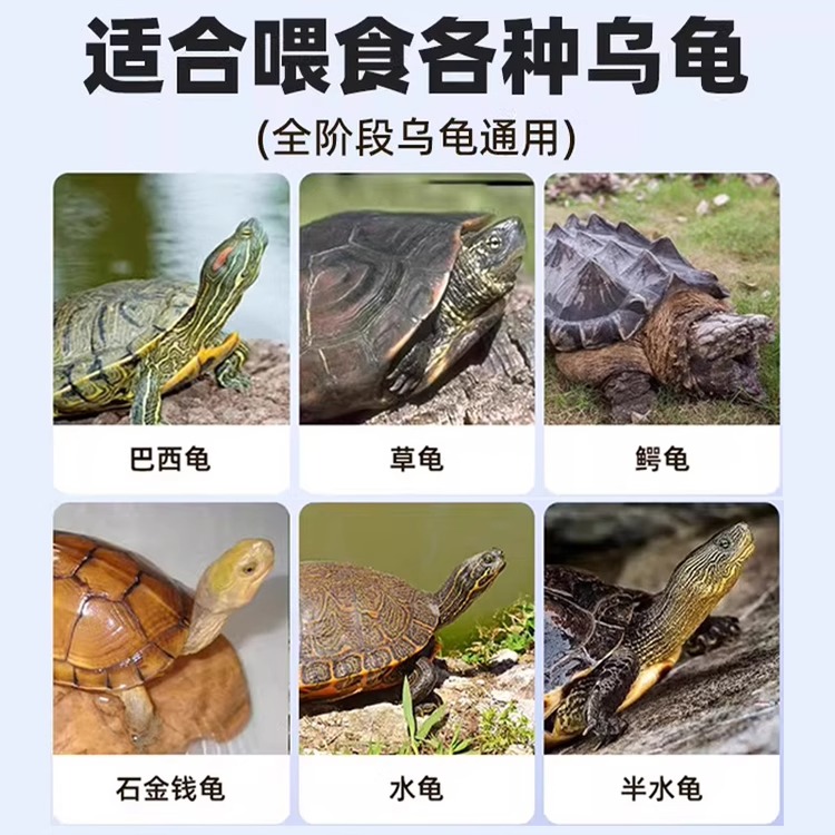 汉寿甲鱼火锅600g：懒人福音，美味即食，让你在家也能享受五星大厨的味道！✨