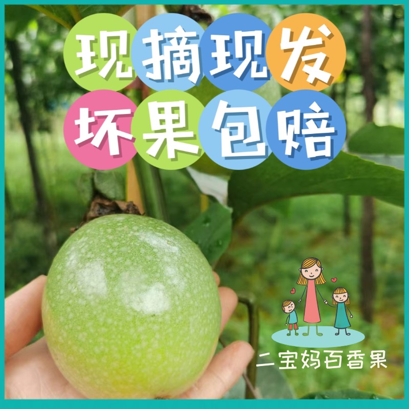 广西靖西钦蜜9号黄金百香果：甜蜜来袭，低卡零食新宠！
