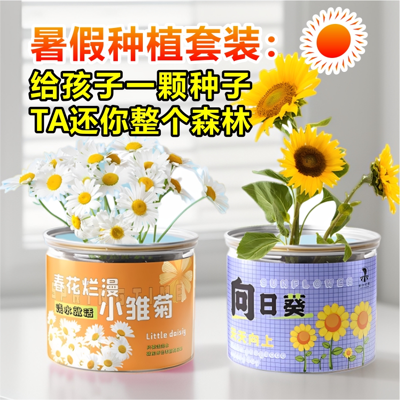 暑假礼：种植小盆栽儿童室内桌面迷你罐头植物，薄荷向日葵含羞草等超萌植物等你来种！