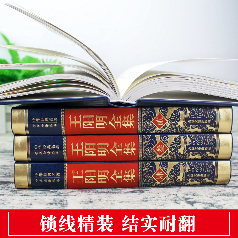 当当网正版书籍：《中国文学大辞典》皮面精装两册，开启文学之旅新篇章✨