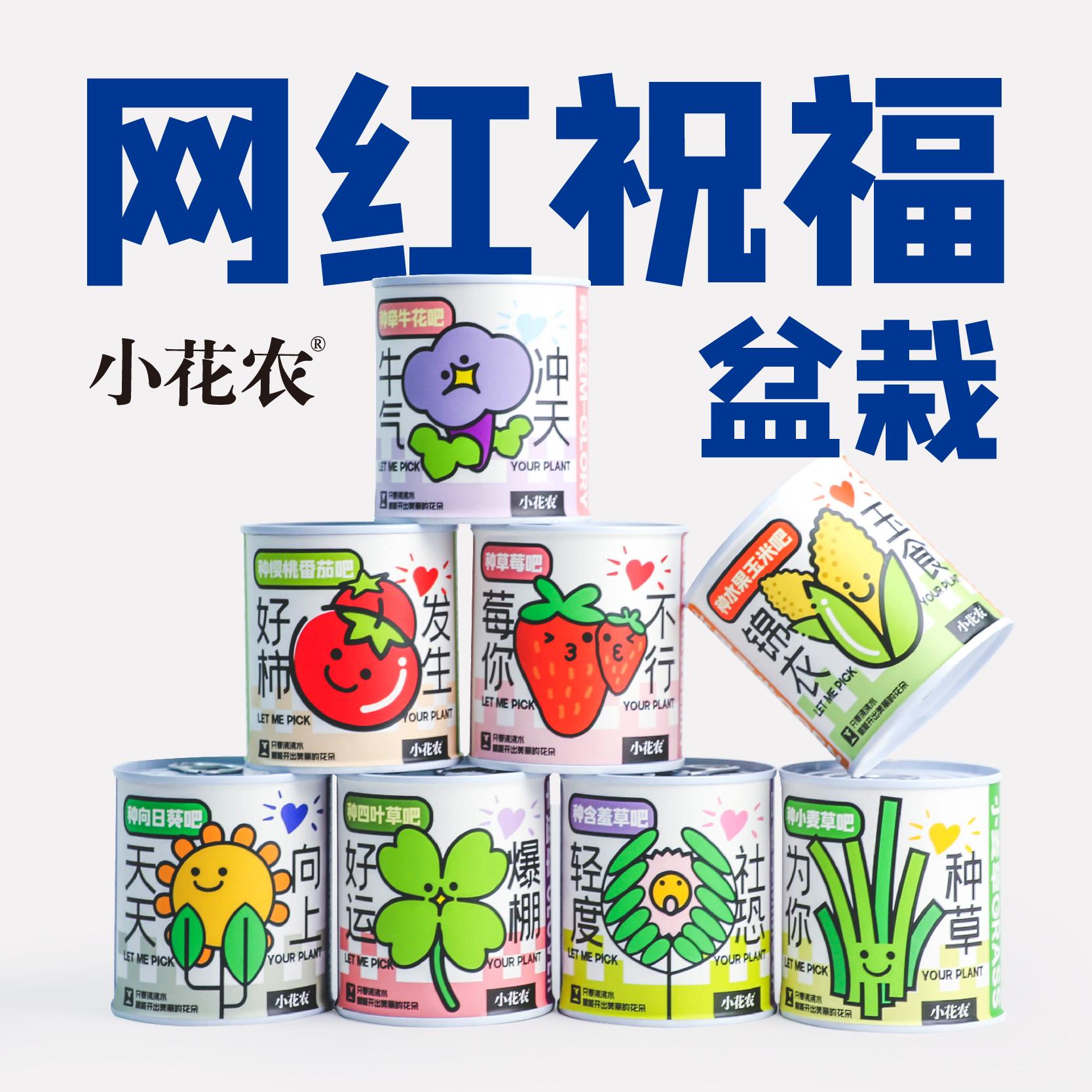 《翠鸟别墅》到底有多绝？沉浸式体验+文学穿越感爆棚！这本小说我直接封神