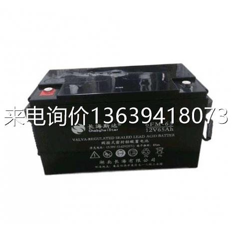 长海斯达蓄电池6FM-7：UPS备用电源的不二之选，进口品质保障电动照明