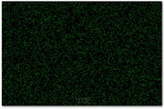 Infected Screen Saver1.21
