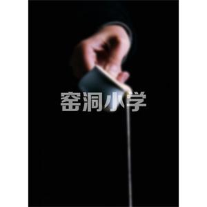 情归延安