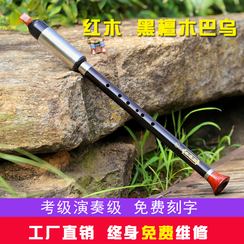 巴乌乐器：从零开始的C调、Bb调、F调、G调演奏全攻略，让你轻松入门！