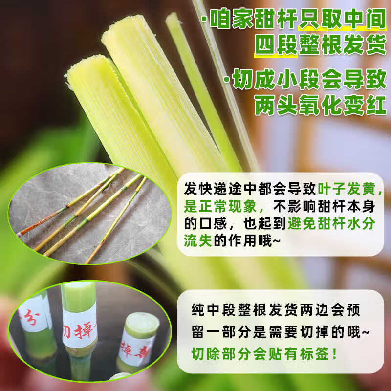 甜杆新鲜甜芦粟：孕妇友好，现砍应季，顺丰包邮，解暑神器大揭秘！