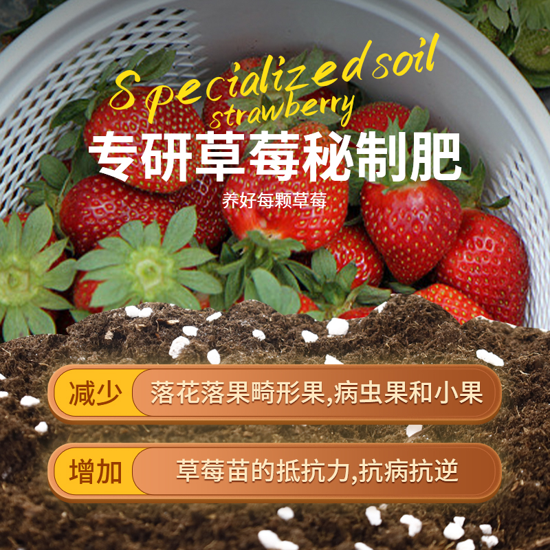 为什么草莓种植需要特别的技术？新手必看！