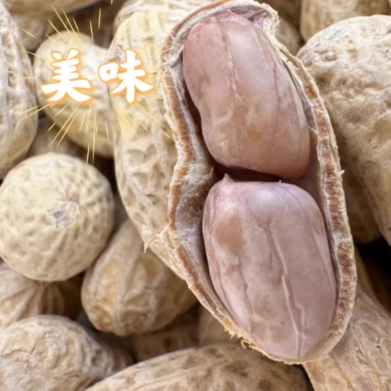 救命！这波带壳花生真的香到不行！现挖新鲜到爆，水煮生吃都绝了！