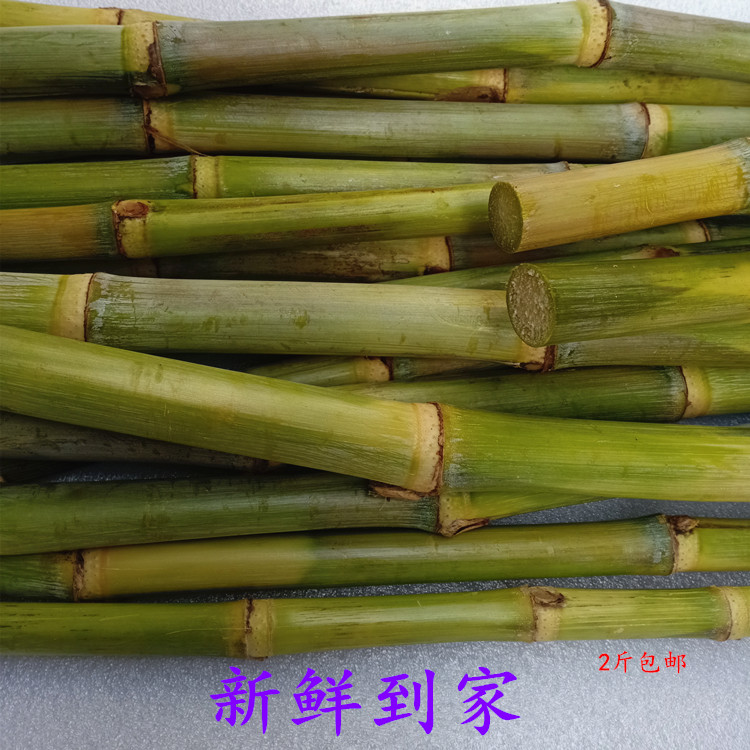 新鲜小竹蔗：煲汤做糖水的秘密武器，正宗甘蔗2包邮，你还在等什么？