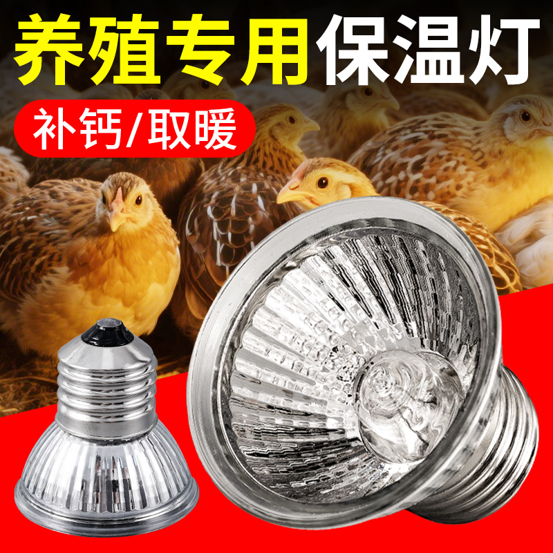 小鸡保温灯&amp;芦丁鸡保温箱：新手养鸡必备神器，如何挑选与使用全攻略！