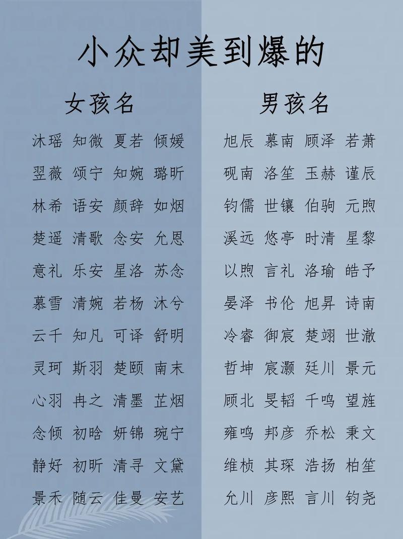 名字数据库,揭秘全球姓名奥秘