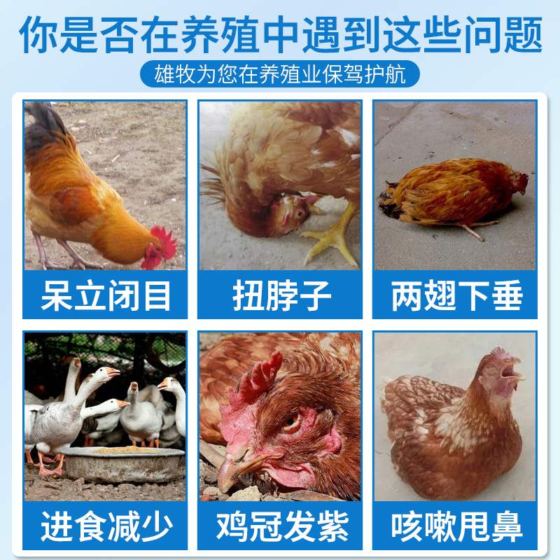0添加剂贝贝南瓜：解锁办公室健身低脂代餐新方式！