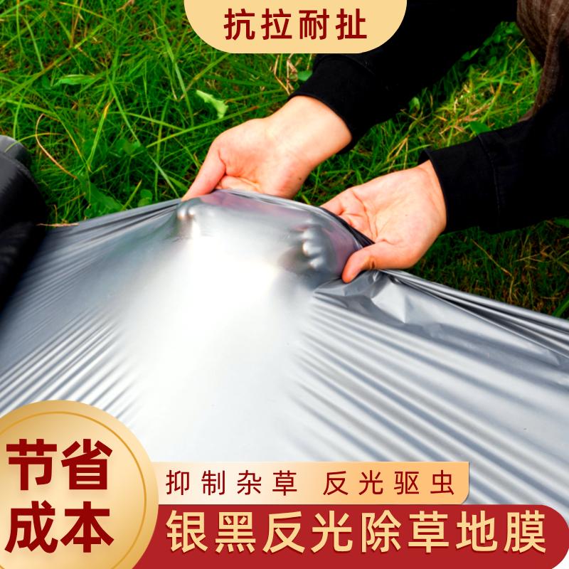 打孔银黑地膜：解锁农用种植新姿势，保温除草一把抓！