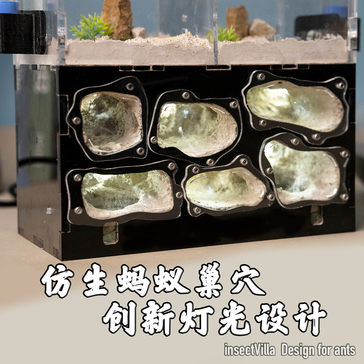 幸福公寓：立体恒温蚁巢，开启你的微观世界探险！