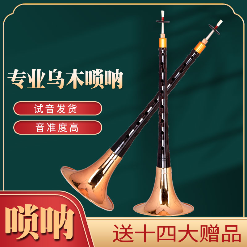 乌木唢呐初学者必备神器，D调演奏轻松入门！