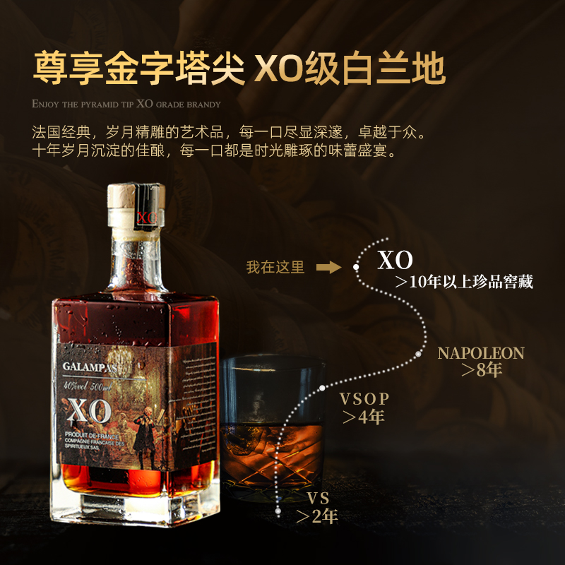 法国进口白兰地XO，品味生活，尽在这一瓶！