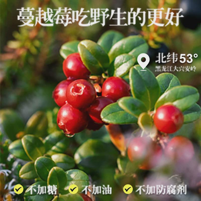 野生蔓越莓干无糖无添加：孕妇婴儿的超级食物，烘焙界的秘密武器！