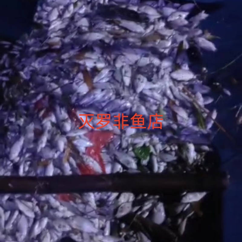 百亿补贴回收的商品都去哪儿了？揭秘真相！