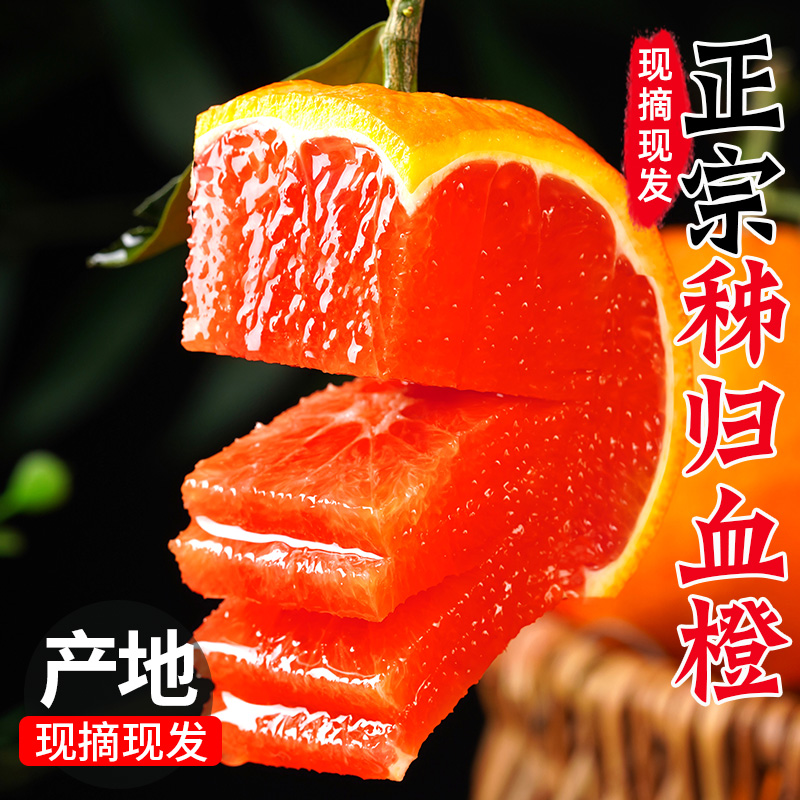 为什么有人说橙子做头像不吉利？背后真相大揭秘！