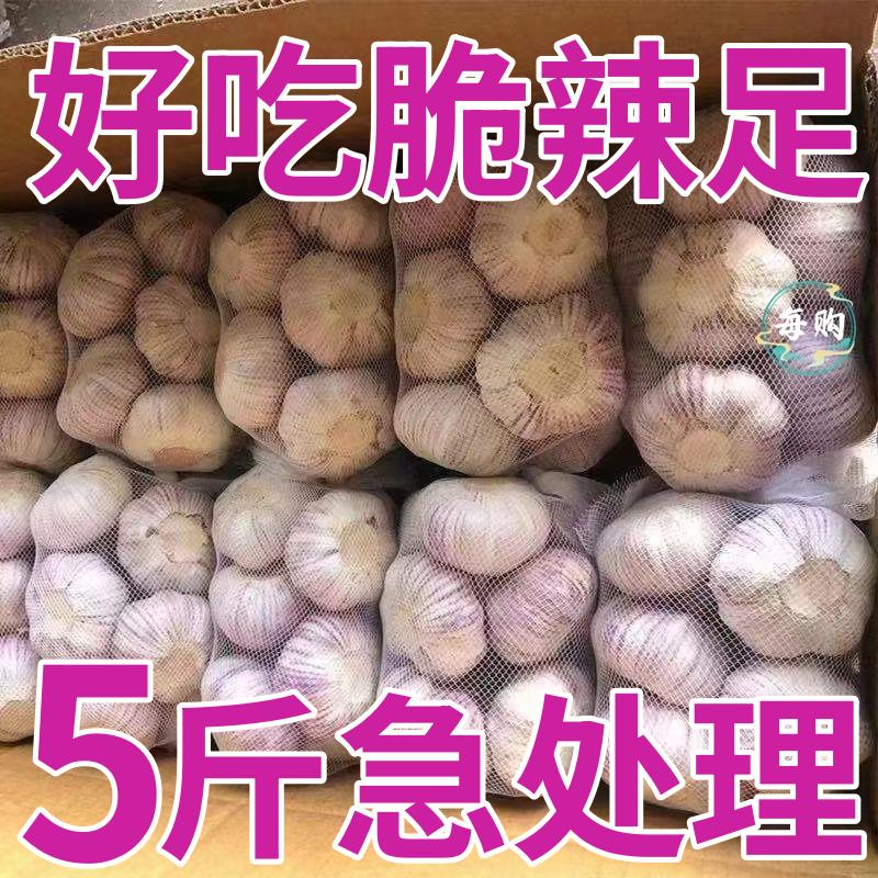 胸前墨绿司星串黑白短袖262612：潮流单品大揭秘，穿上它就是焦点！