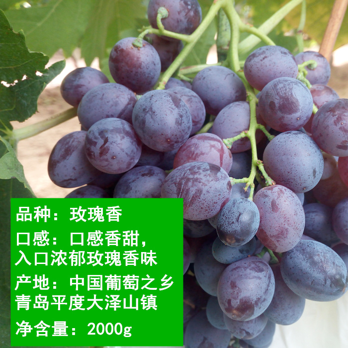 当季新鲜！山西运城夏黑葡萄，孕妇儿童也能安心享用的甜蜜滋味✨